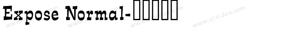 Expose Normal字体转换